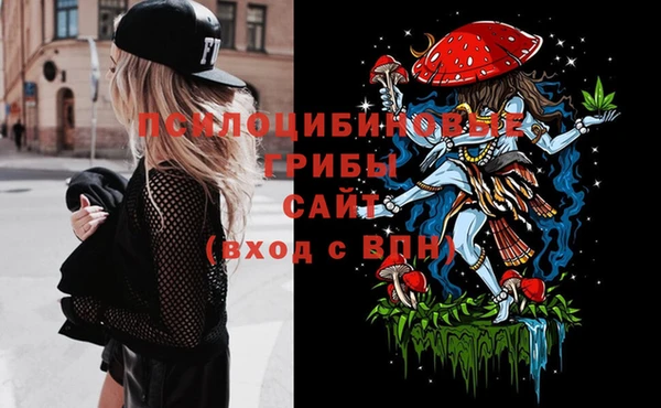 герыч Арсеньев