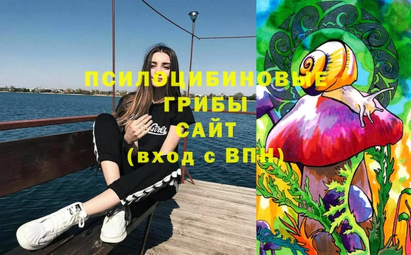 дмт Армянск