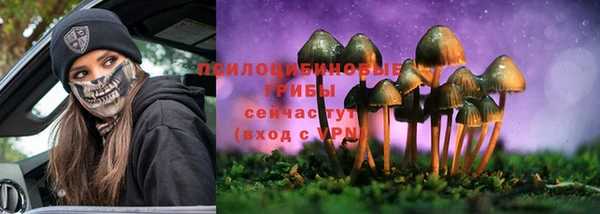 ECSTASY Аркадак