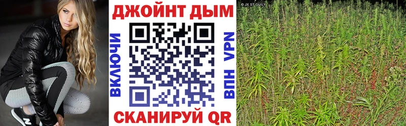 где купить наркоту  KRAKEN   Конопля конопля  Островной 